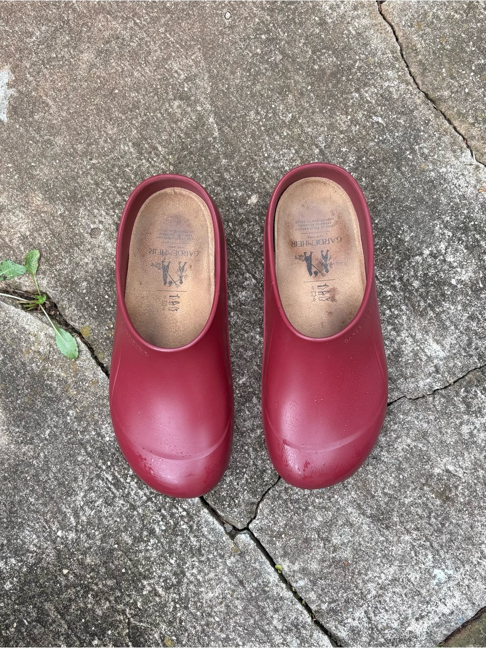 Italian Garden Clogs In Oxblood